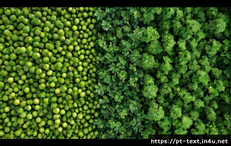 Fibras naturais na indústria têxtil: como avaliar desempenho, custo e aplicação 4 섬유기사와 천연섬유 특성 관련 이미지 2